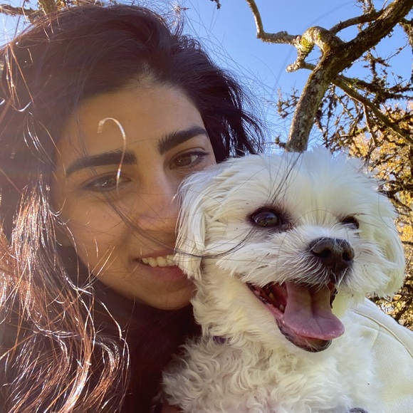 Meet your Posher, Romy - Picture 1 of 1